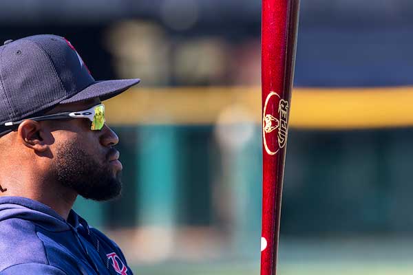 Wooden Baseball Bats, Discount Baseball Bats