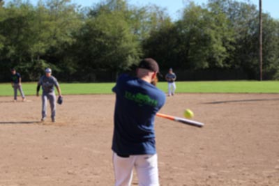 softball bats