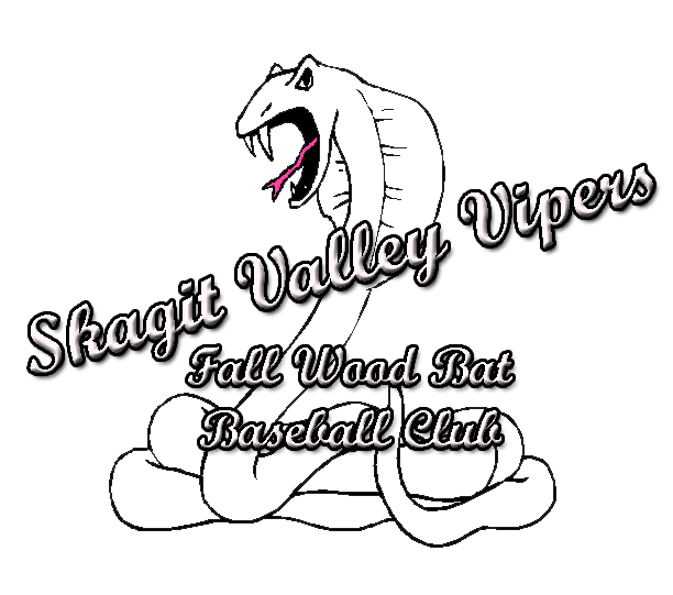 Skagit Valley Vipers Team Logo