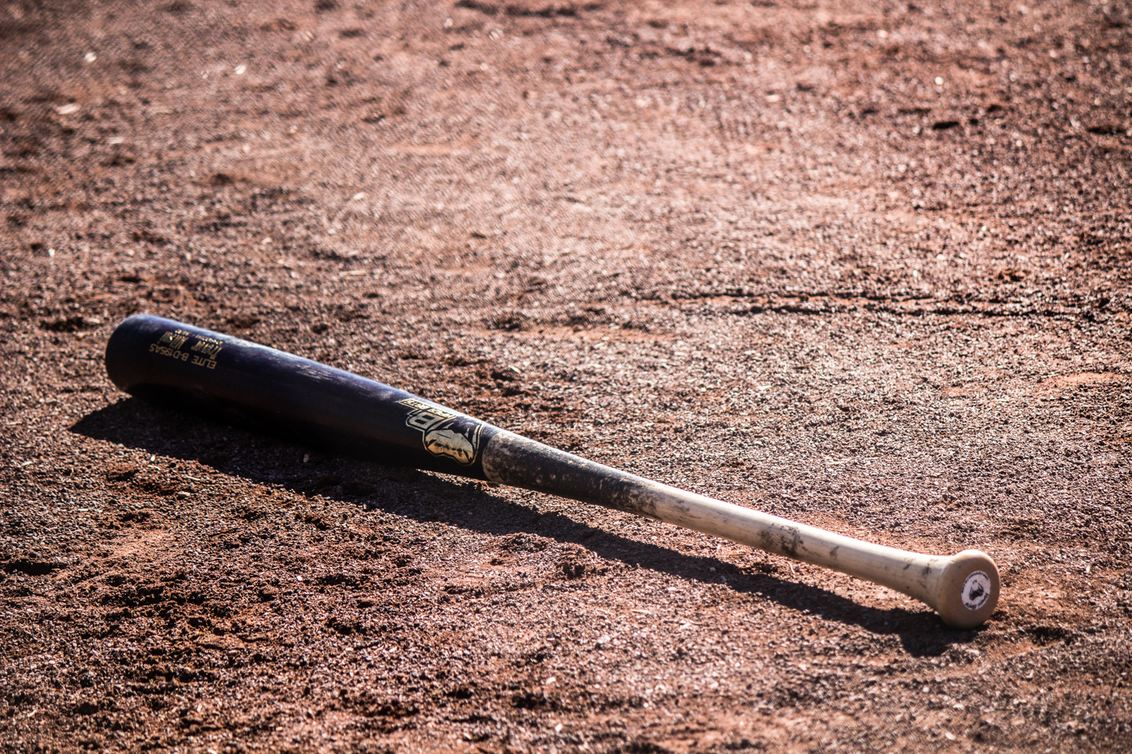 Photo Gallery | Viper Bats